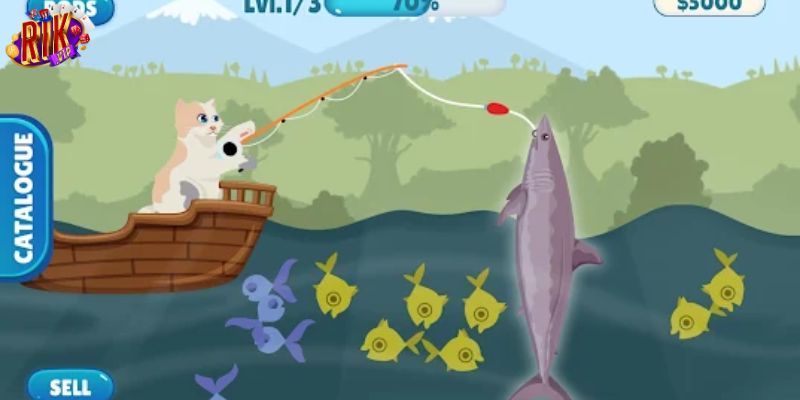 Tổng quan về bắn cá fish cat